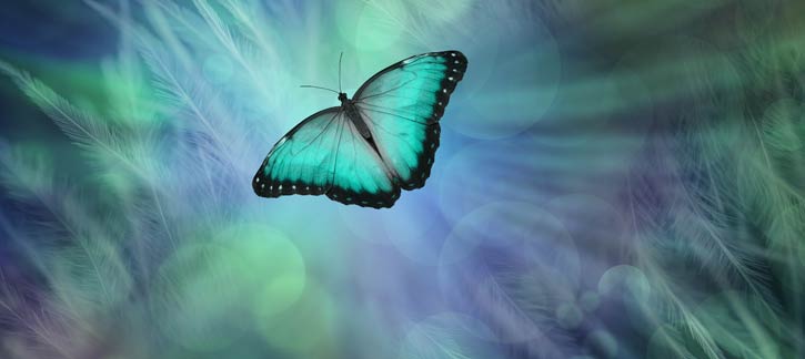 Blue Butterfly over Conceptual Background